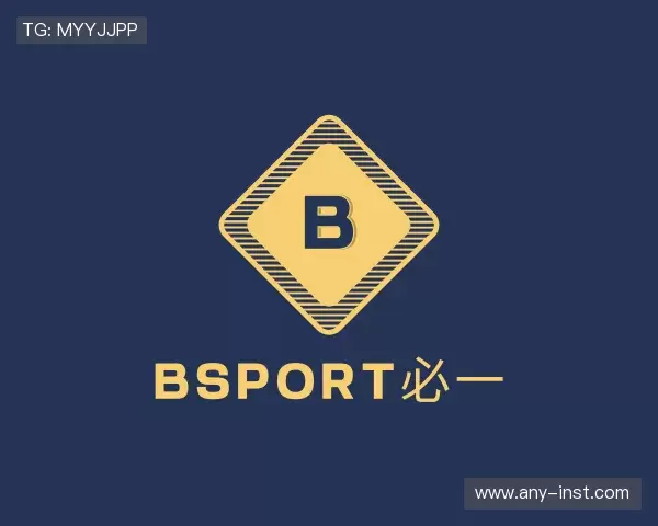 了解BSport必一